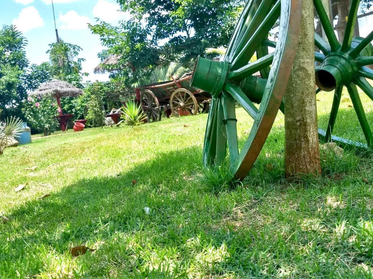Pousada Cafe Da Roca Campos Gerais エクステリア 写真