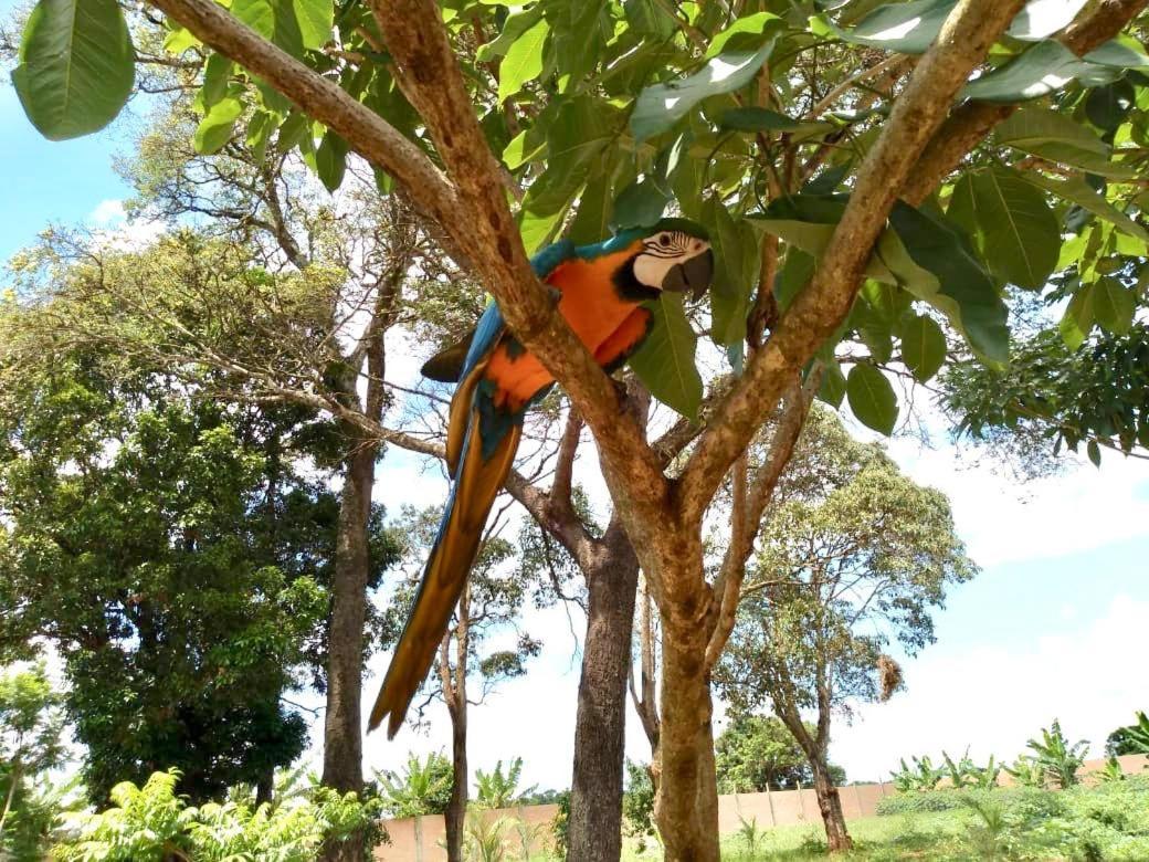 Pousada Cafe Da Roca Campos Gerais エクステリア 写真